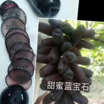 葡萄