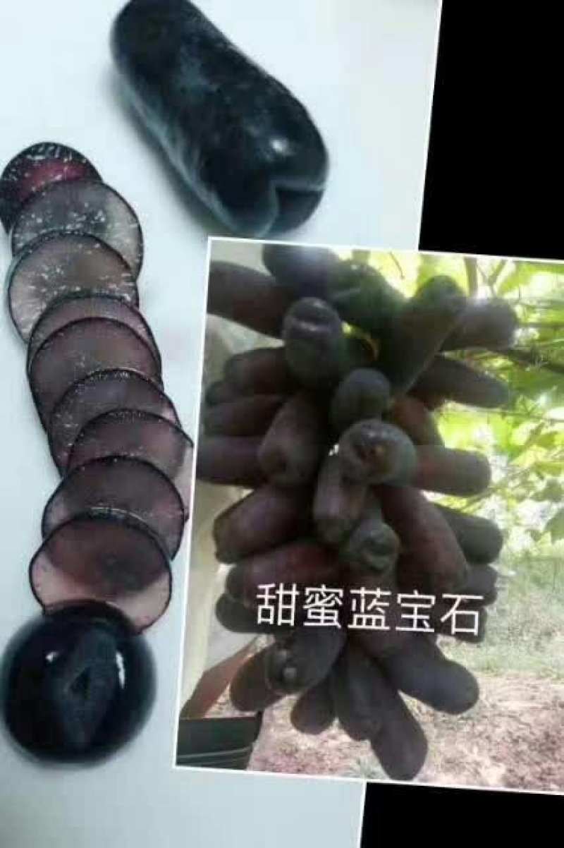 葡萄