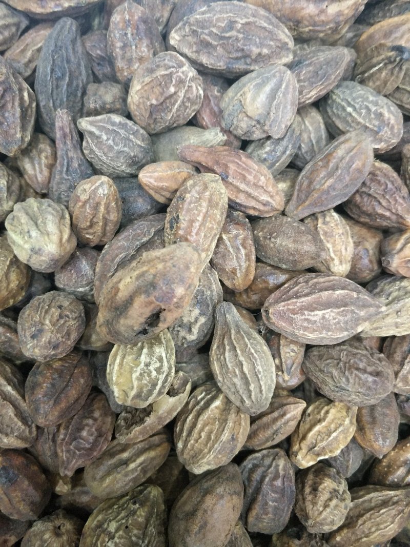 诃子批发各种规格中药材