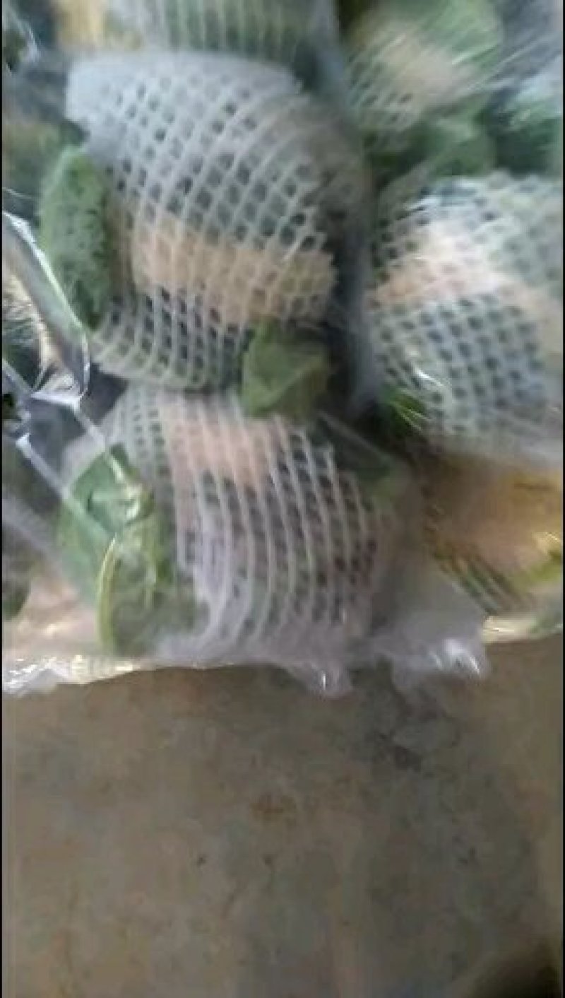 花菜