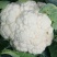 花菜