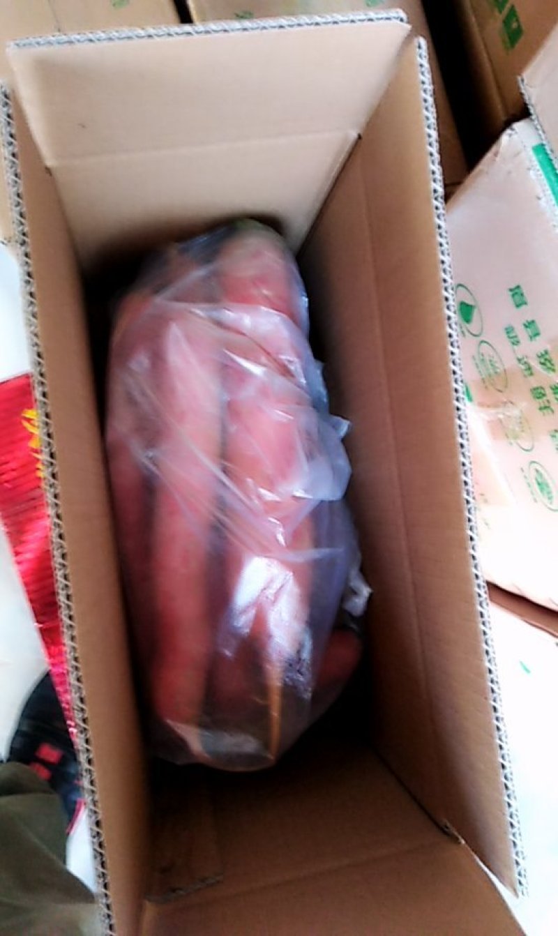 陕西沙地秤杆红萝卜净包邮一件代发