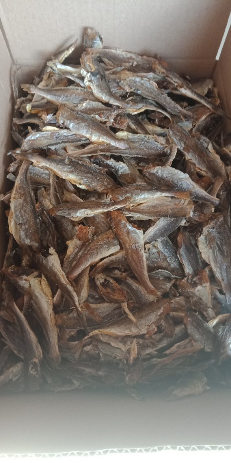 小黄鱼