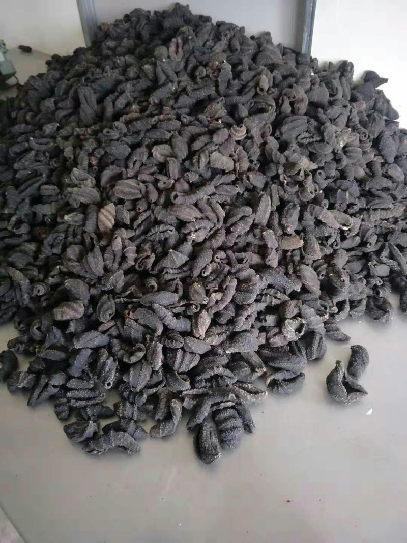 海茄子，北极贝黑参，黑极参，海参