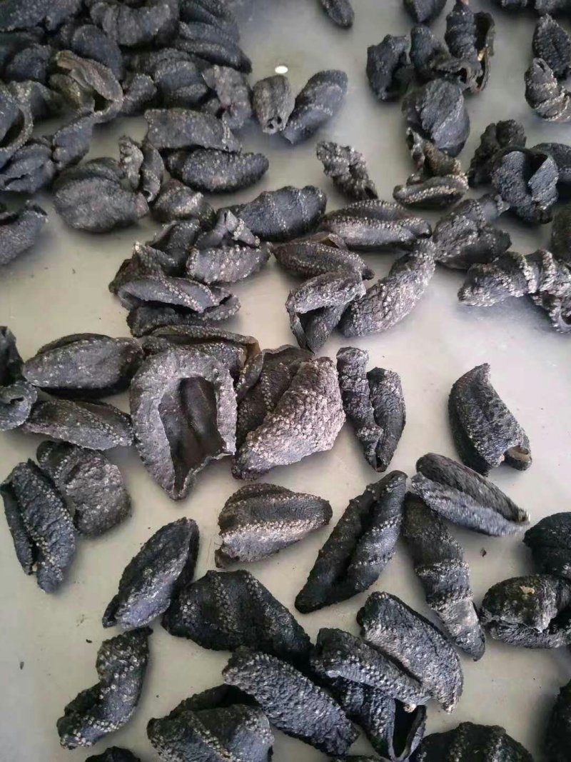 海茄子，北极贝黑参，黑极参，海参