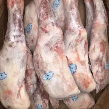 内蒙古羊前腿