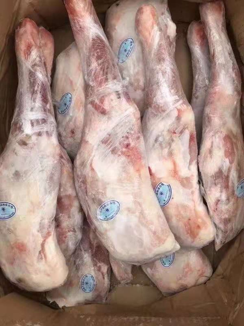 内蒙古羊前腿