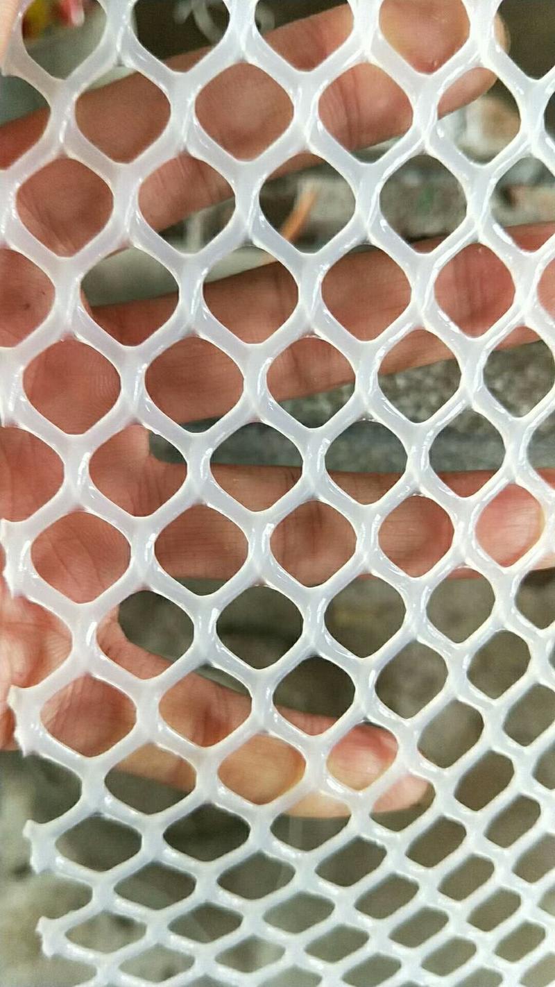 全新鸡鸭鹅漏粪网塑料平网漏粪板育雏网养殖网苗床网