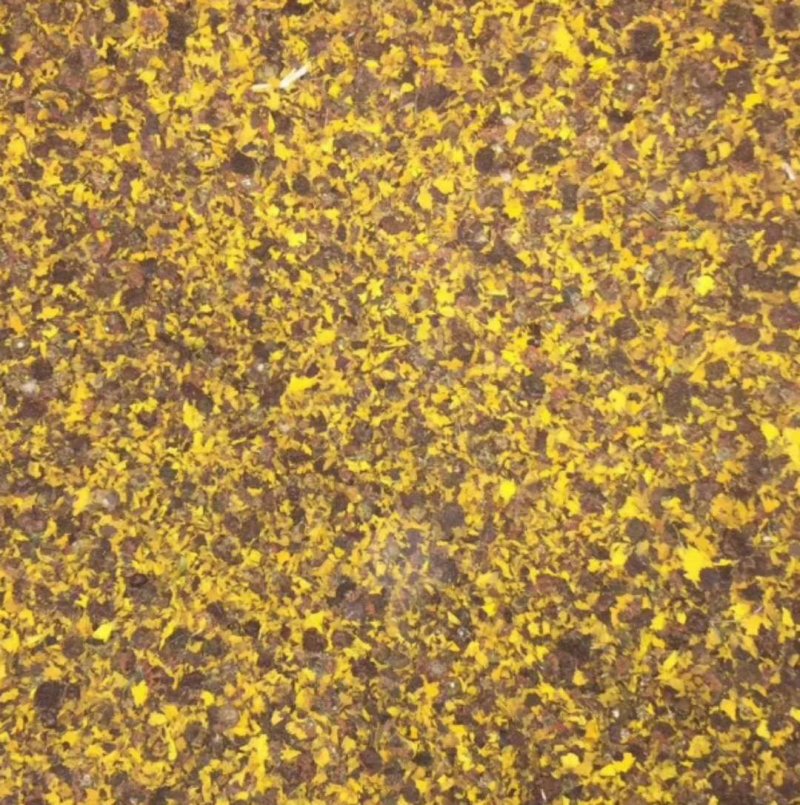 干菊花菊花饮品