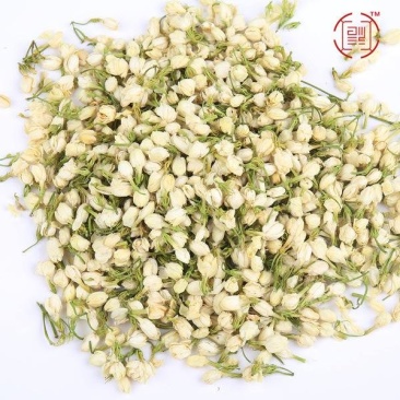 好一朵美丽的茉莉花