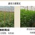 喷科富防冻剂草莓番茄黄瓜韭菜防冻液抗寒防冻剂