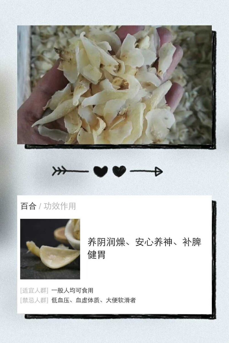 百合