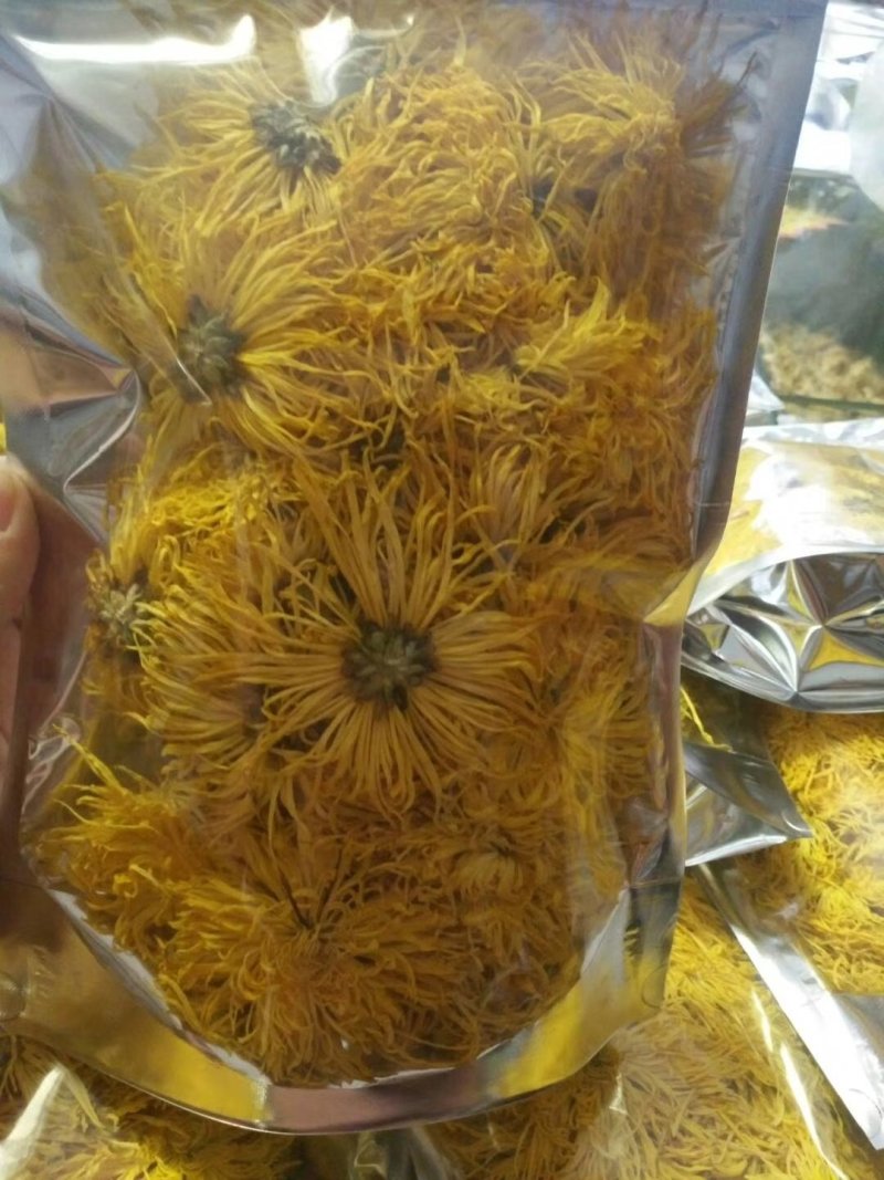 金丝皇菊茶