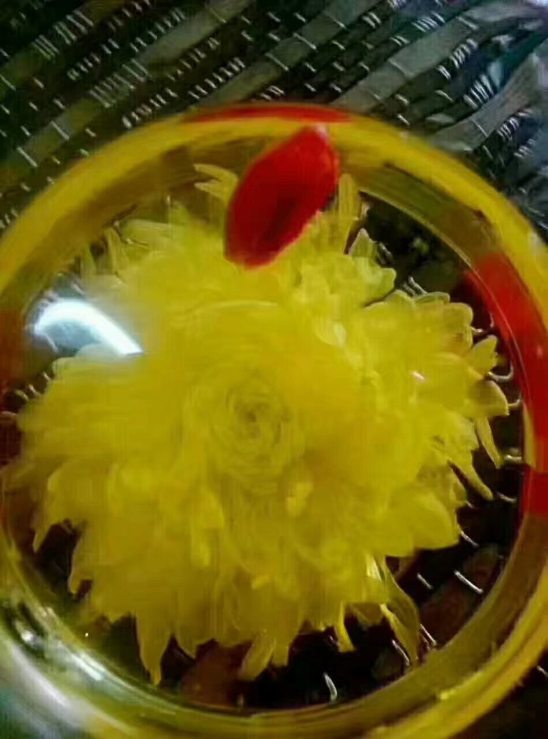 金丝皇菊茶