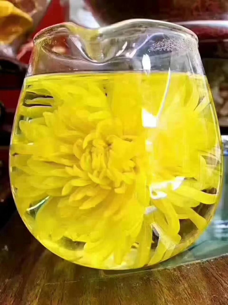 金丝皇菊茶