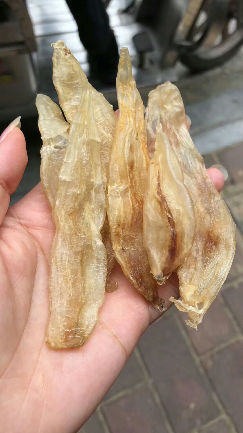 130头北海鳘鱼胶，一斤包邮