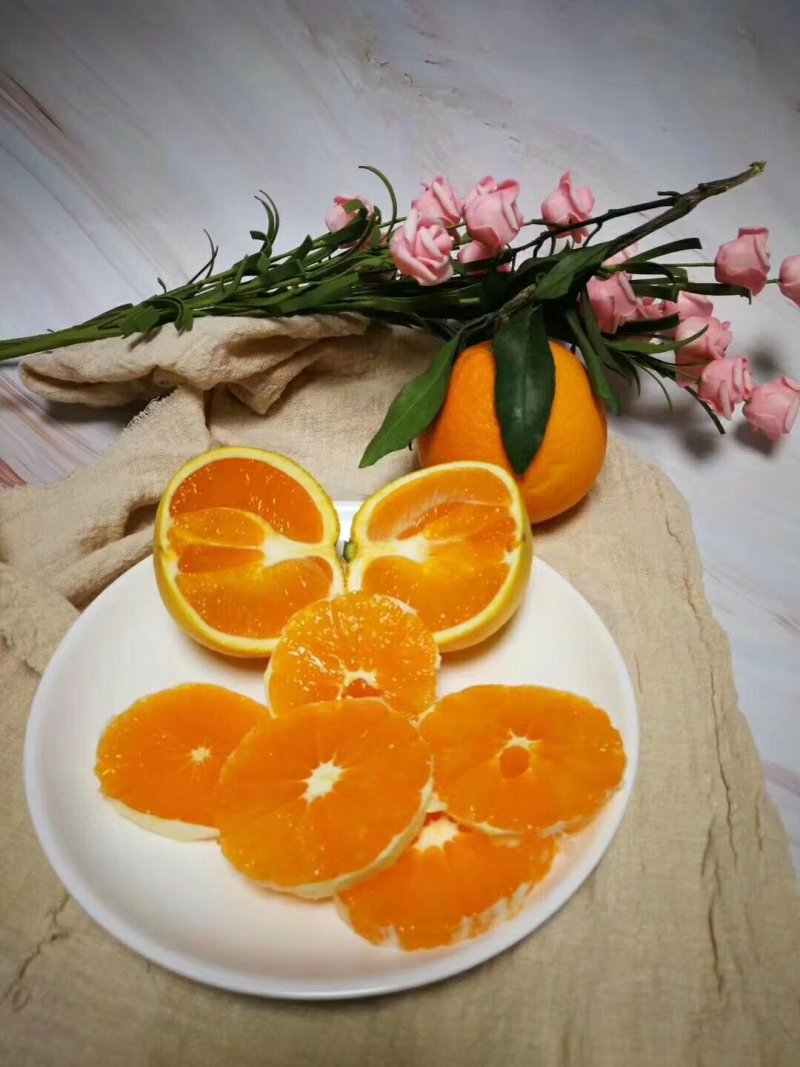 秭归脐橙