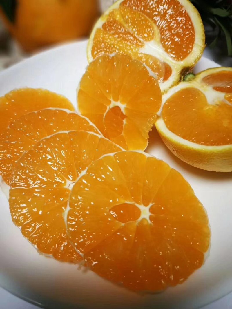 秭归脐橙