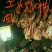 三峡高山特制土猪腊肉
