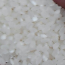 南梗香米，江苏大米，苏北大米