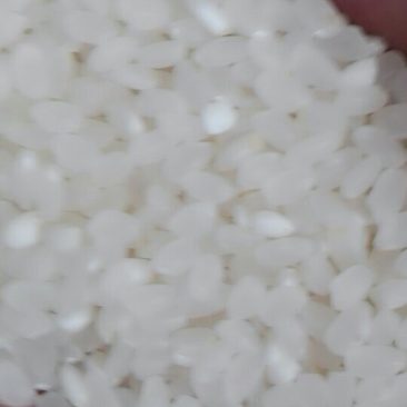南梗香米，江苏大米，苏北大米
