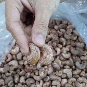 越南熟腰果