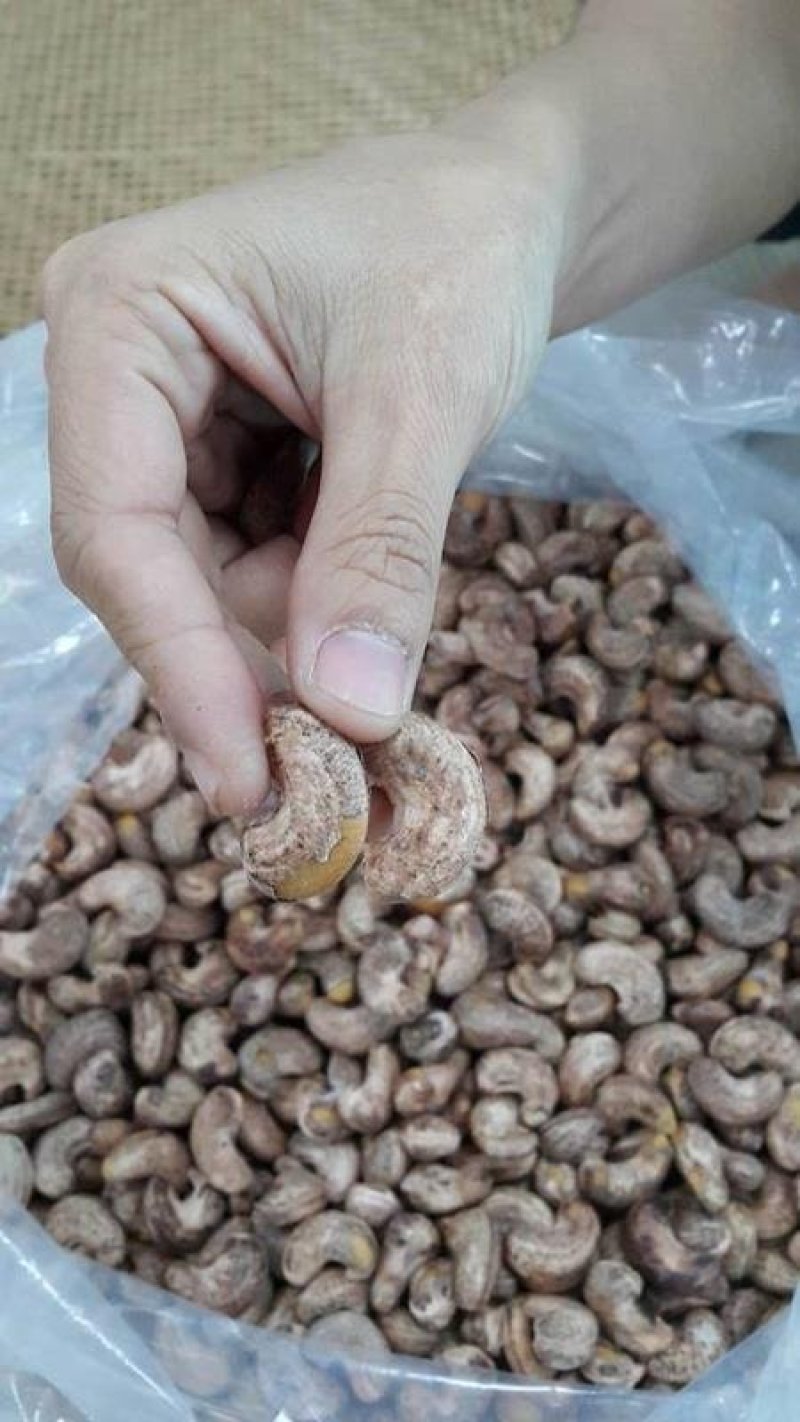 越南熟腰果