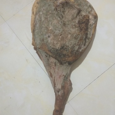 批发，零售火腿，五花腊肉