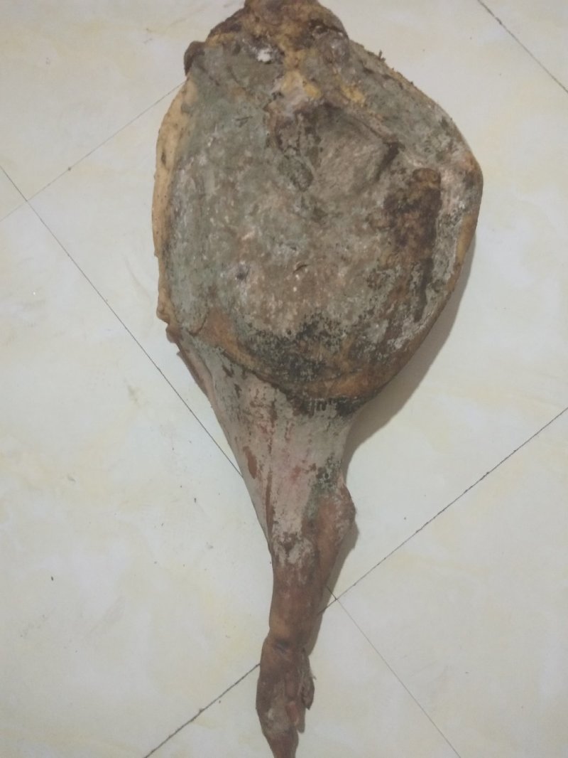 批发，零售火腿，五花腊肉