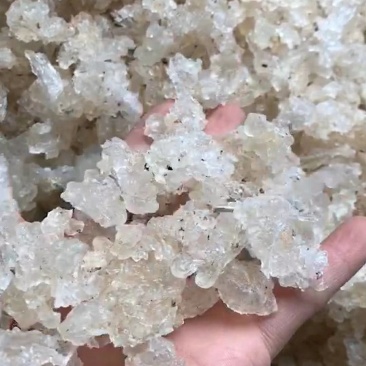 雪燕