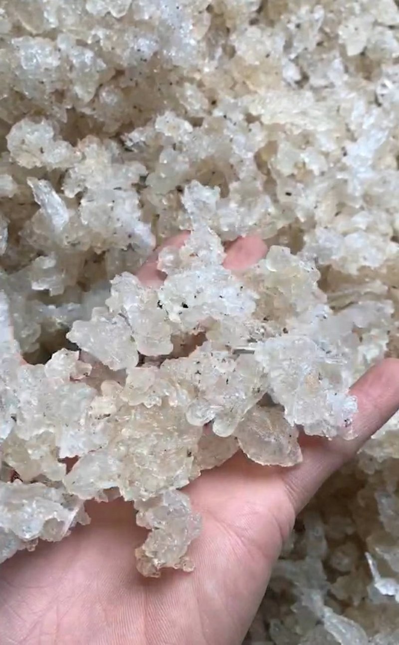 雪燕