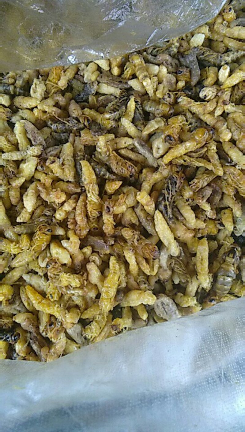 蜂蛹，油炸的统货