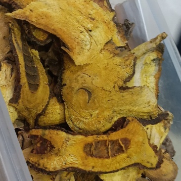 虎杖片
