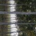 栾树8~10cm6~8cm3~3.5米