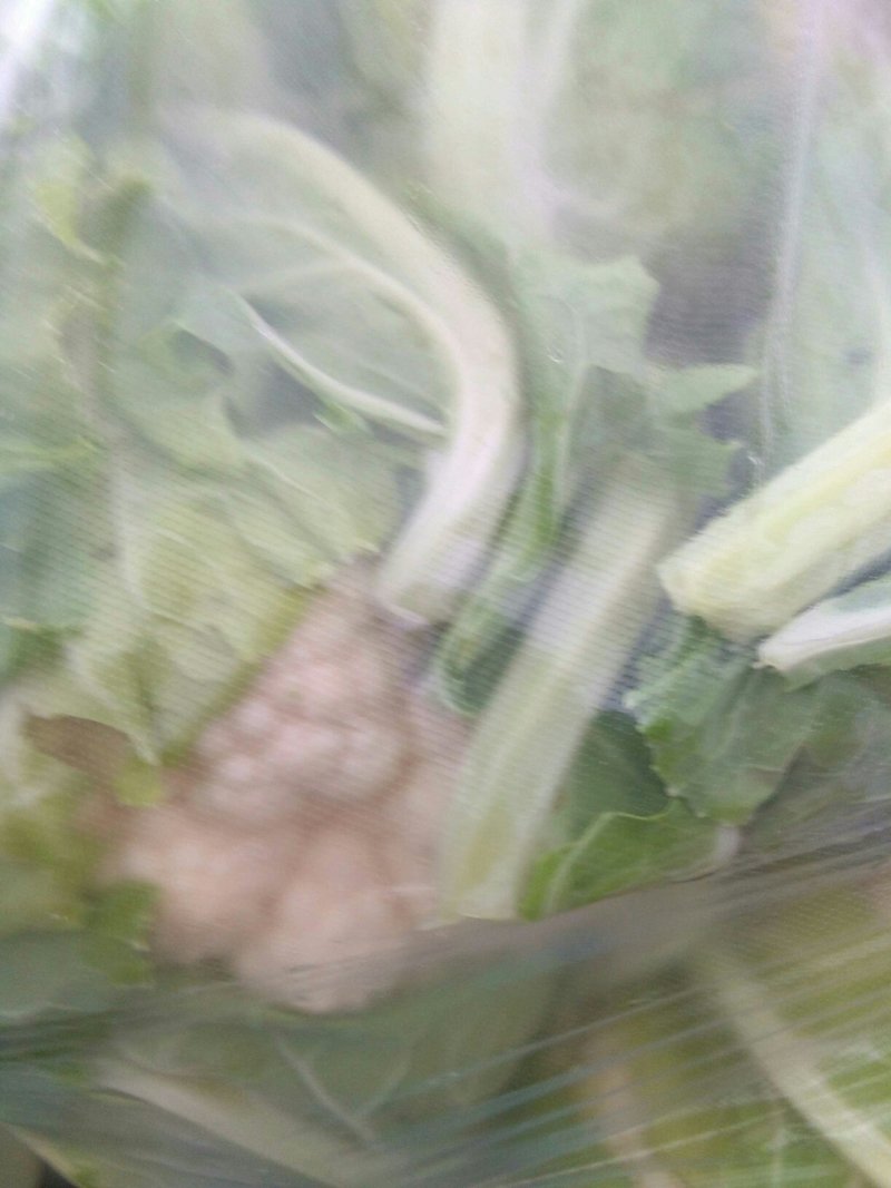 菜花