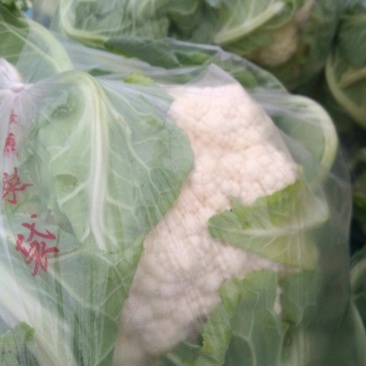 菜花