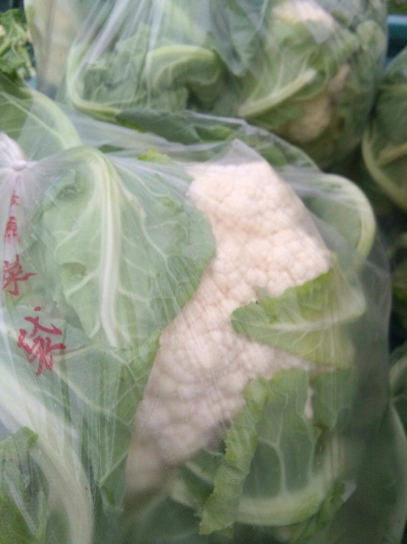 菜花