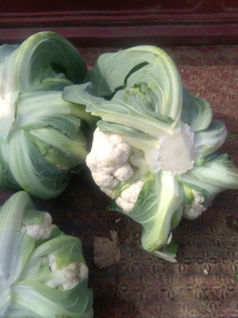 菜花