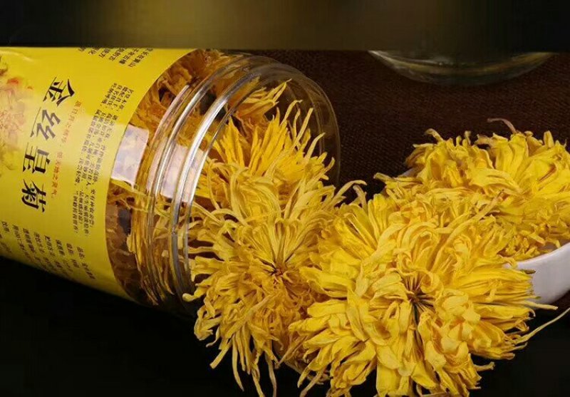 金丝皇菊