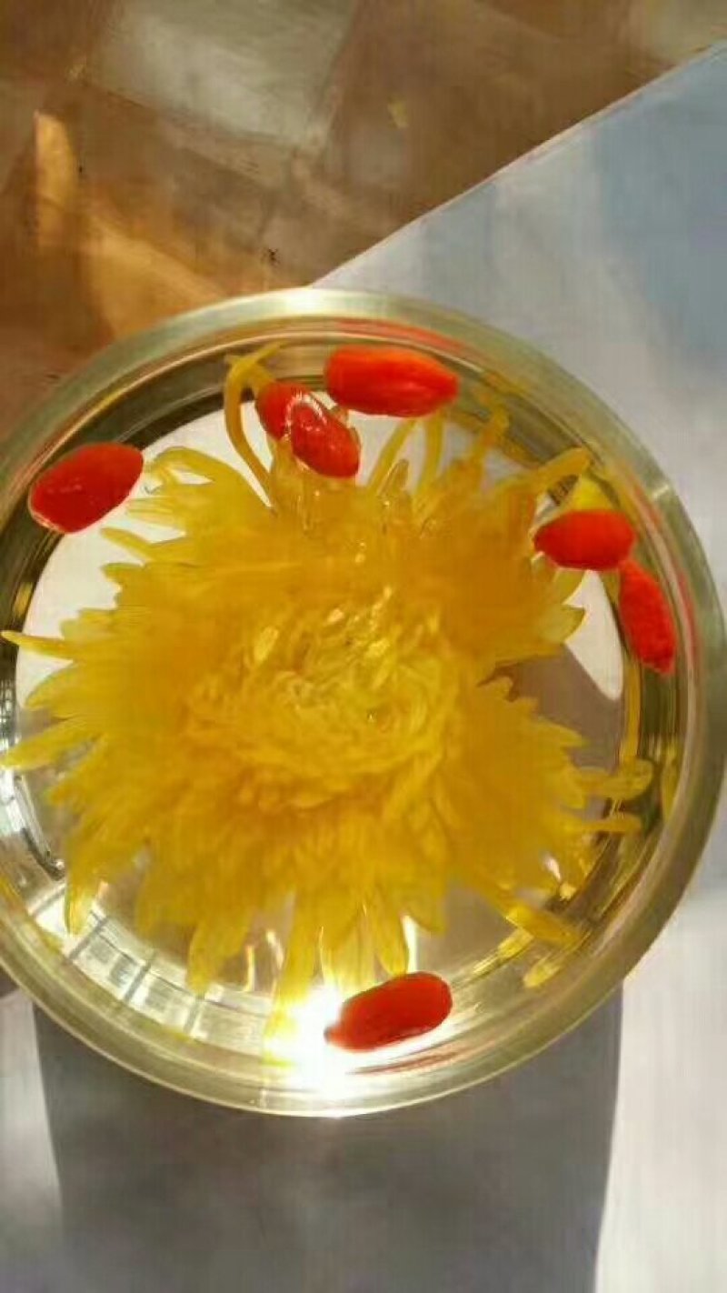 金丝皇菊
