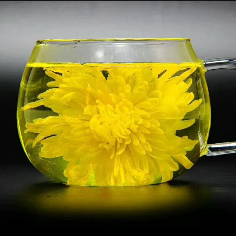 金丝皇菊