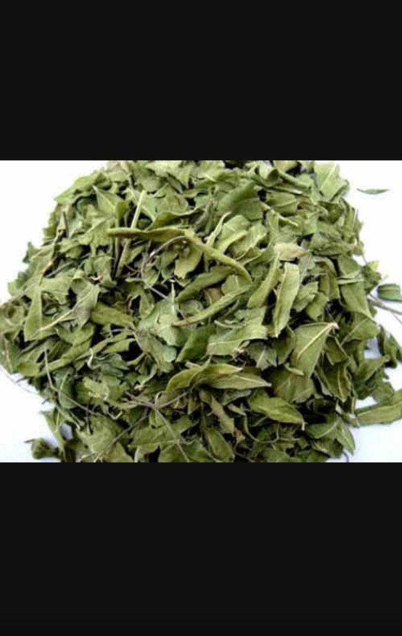 罗布麻茶。
