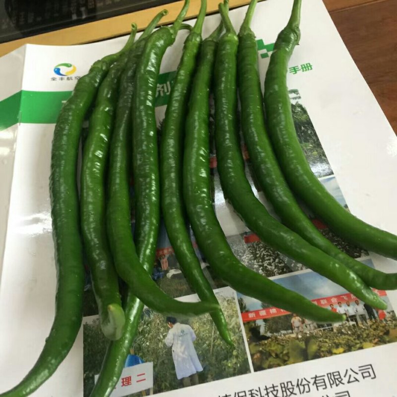 3号线椒
