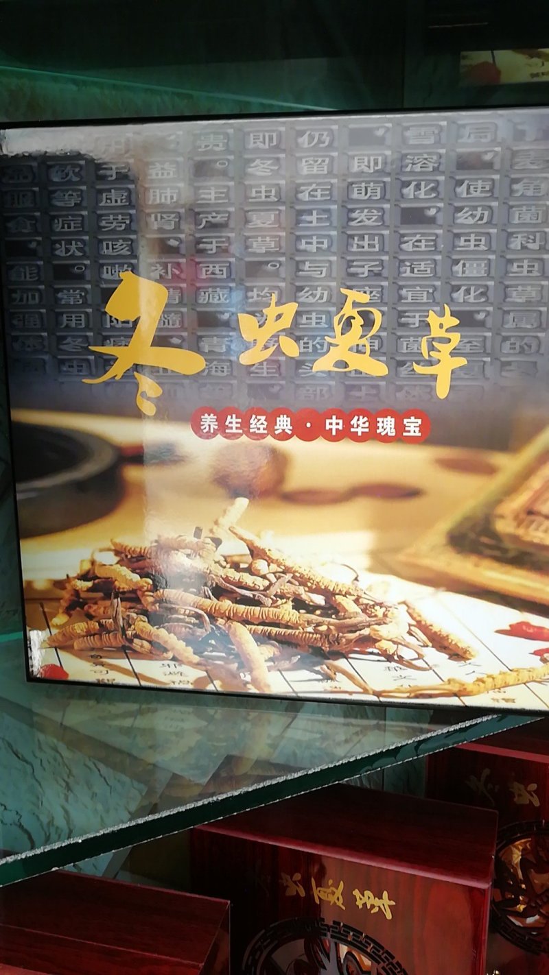 虫草