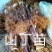 山丁苗，嫁接苹果苗砧木，自产自销，保证成活率，保证质量