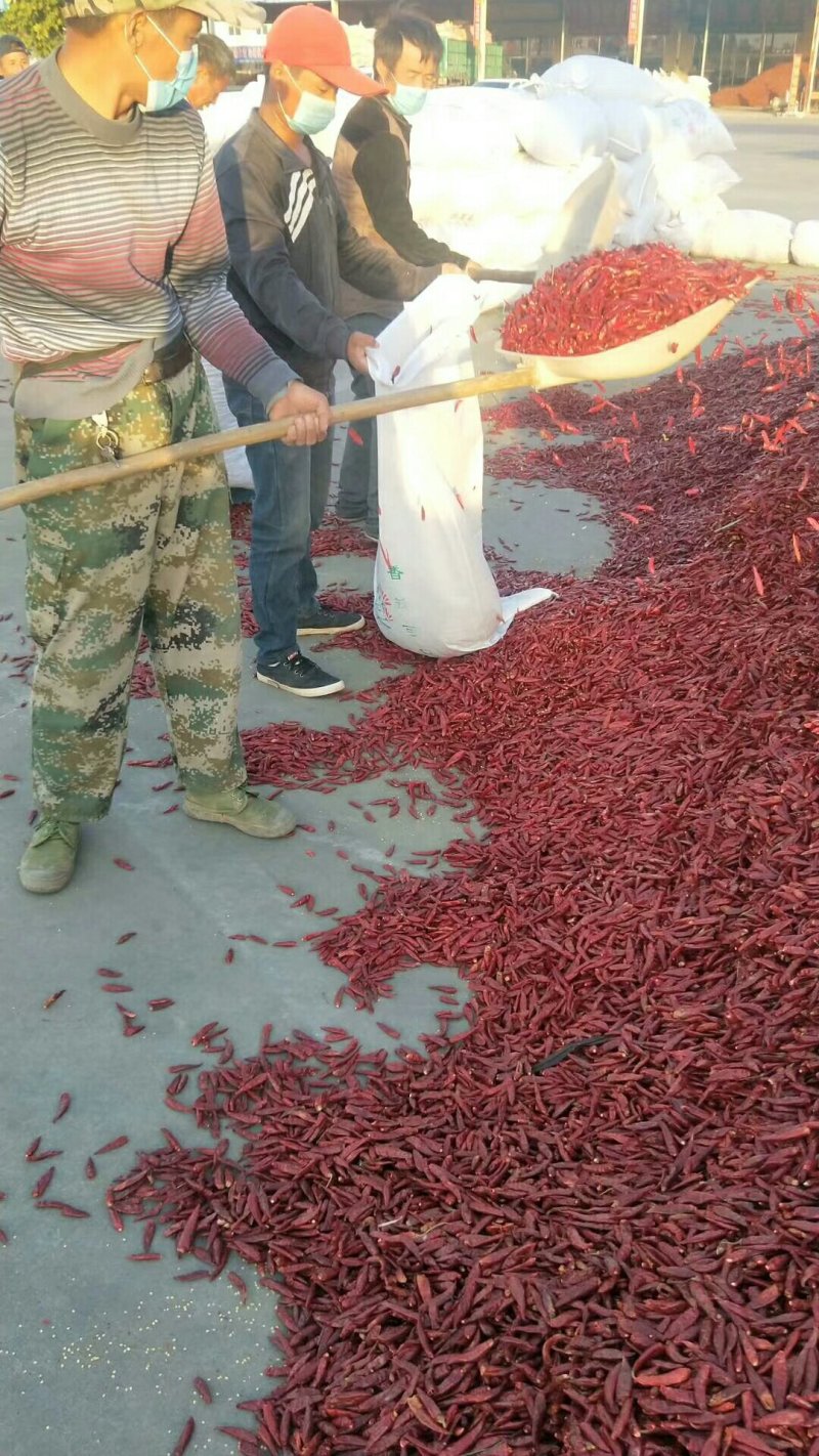 辣椒高辣朝天椒哄干辣椒代发全国各地市场欢迎订购