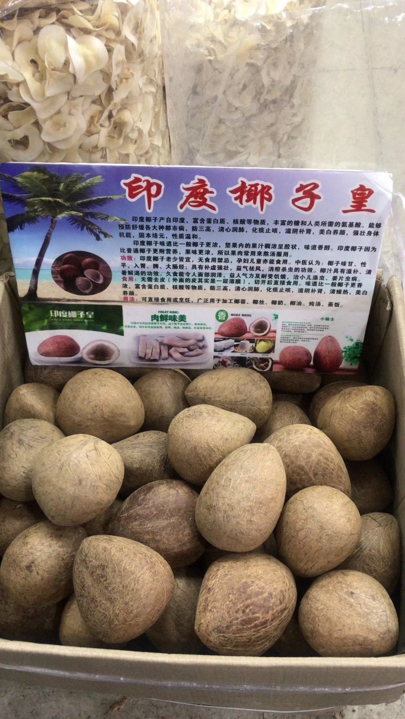 海椰皇，大椰子干椰子味道香浓，可以干吃
