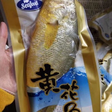 黄花鱼单条速冻一袋500克以上