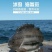 冰岛海参斑