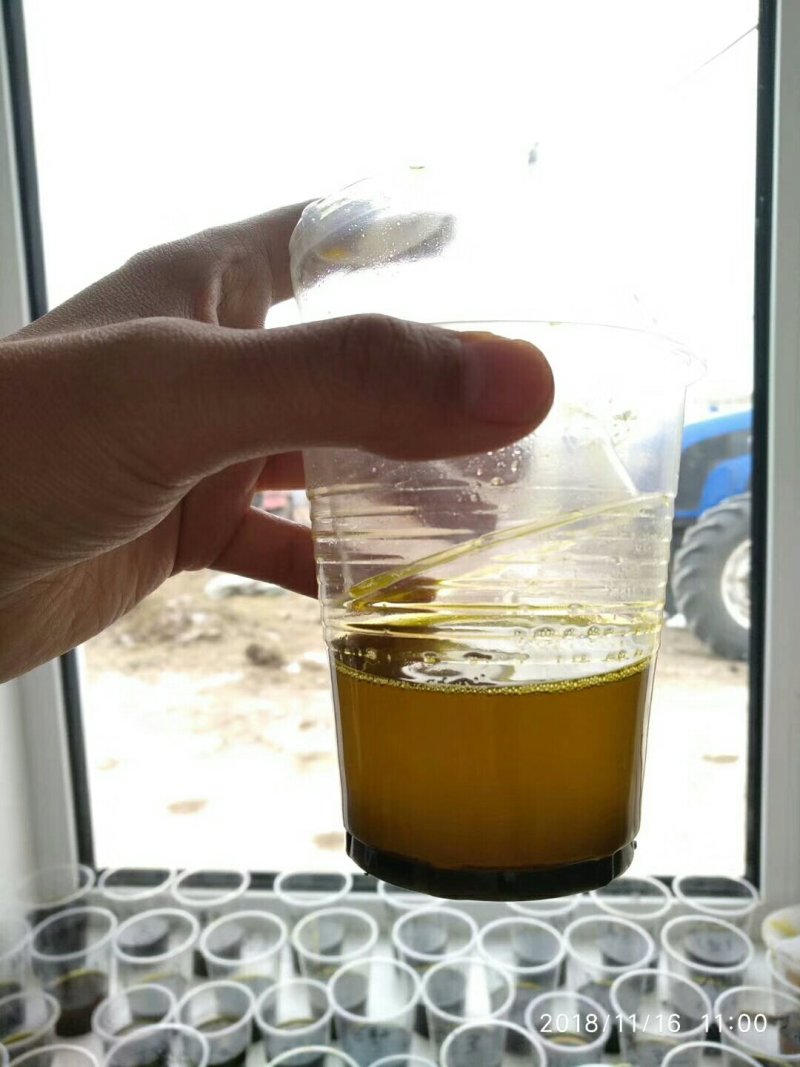 油菜籽